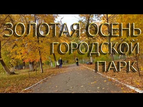 Видео: Золотая осень. Видео из городского парка. Начало работ.