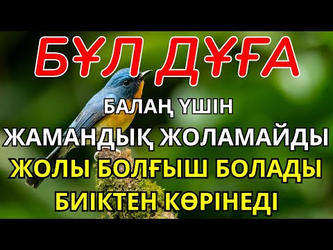 Видео: БАЛАҢДЫ БАРЛЫҚ ЖАМАНДЫҚТАН САҚТА! 🛡️ Бұл Дұға Балаңның Жолын Ашып, Әрқашан Жолы Болғыш Етеді!