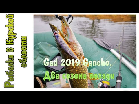 Видео: Pontoon 21 Gad 2019 Gancho.  Два сезона позади