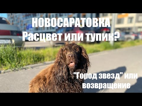 Видео: Новосаратовка 2025. Расцвет или тупик? "Город звезд" или возвращение