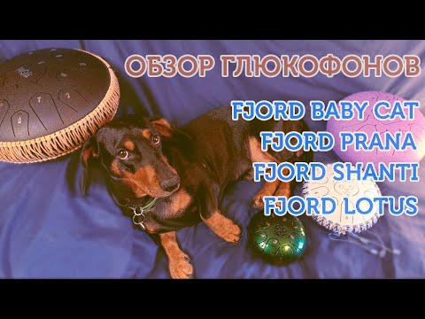 Видео: Обзор глюкофонов FJORD: Baby Cat, Prana, Shanti, Lotus