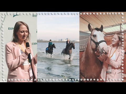 Видео: Иппосфера, Точка блогеров и скачки на лошадях по заливу |  VLOG
