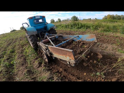 Видео: Трактор Т-40 и Зил-130 на уборке картофеля!