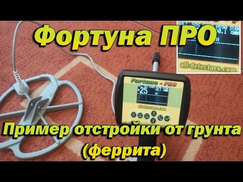 Видео: Фортуна ПРО | Пример отстройки прибора от грунта