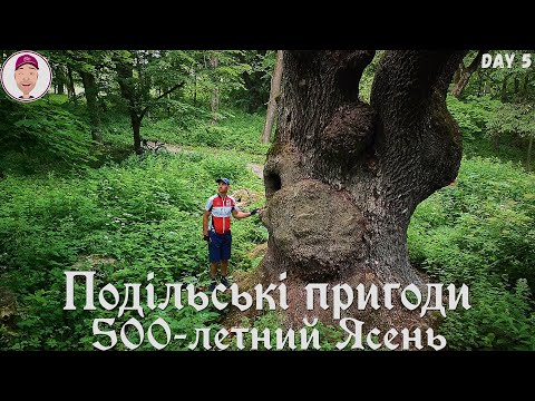 Видео: 500-летний ясень! Подільські пригоди. День 5-ый.