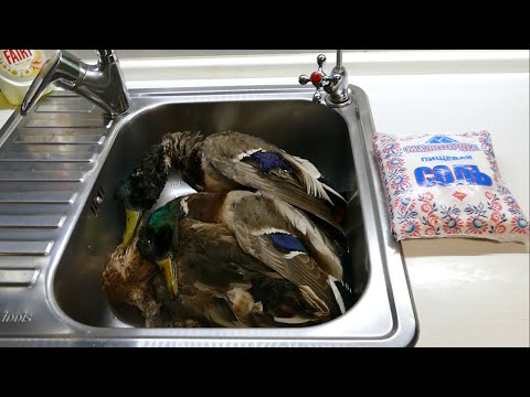 Видео: Дикая утка горячего копчения - все просто