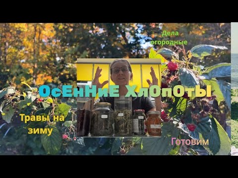 Видео: Осенние хлопоты в Канаде и посадка чеснока | Жизнь травника - Дом, сад и природное вдохновение 🍀