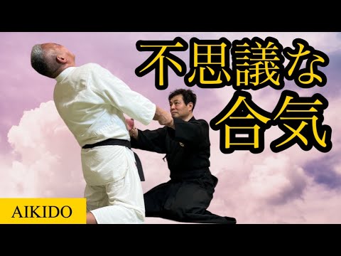 Видео: Это реально?  Я попробовал таинственную линию Айки Хорикавы Дайто-рю Кошинкай.