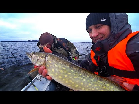 Видео: Троллингом ловят много?? Проверяю эту теорию на себе. Ловля щуки поздней осенью.