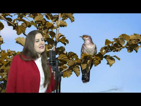 Видео: Новинка 2025 🍂Аромат любви осенней 🍂 Татьяна Марченко .