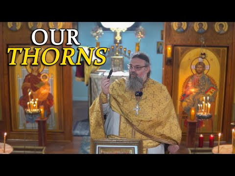 Видео: ШИПЫ В НАШЕЙ ПЛОТИ ЕСТЬ НЕ ПРОСТО ТАМ