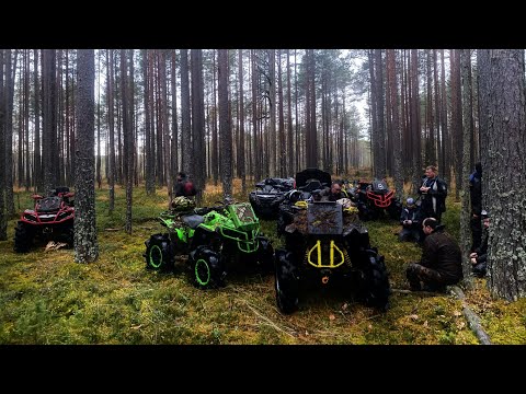 Видео: По жести 