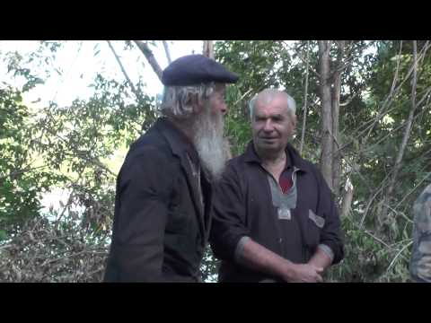 Видео: Чужой забрёл не туда