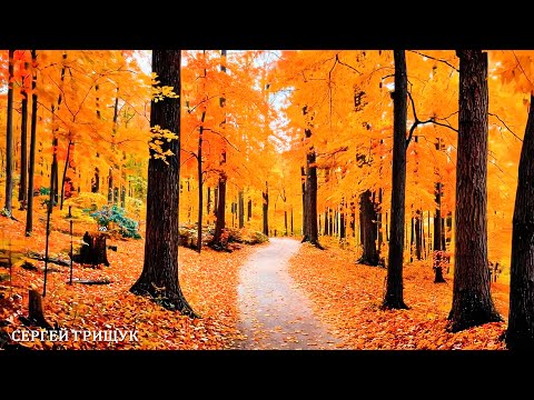 Видео: "В подворотне осень с ветром танцевала"🍁ТАКОЙ МУЗЫКИ ТЫ ЕЩЕ НЕ СЛЫШАЛ! Музыка Для Души