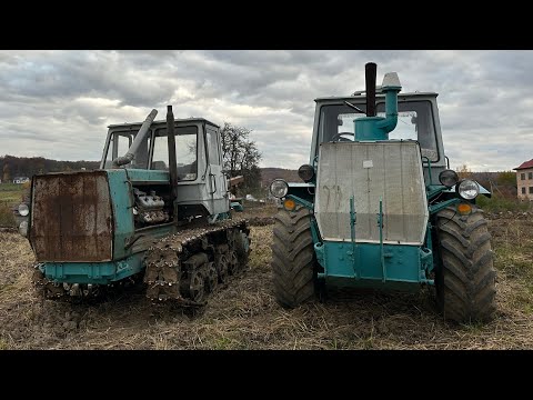 Видео: Це точно треба дивитись 😉