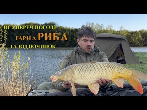 Видео: Червоний прапор/ Карп Толстолоб/ Княжа Долина Рыбалка 28.04.2025