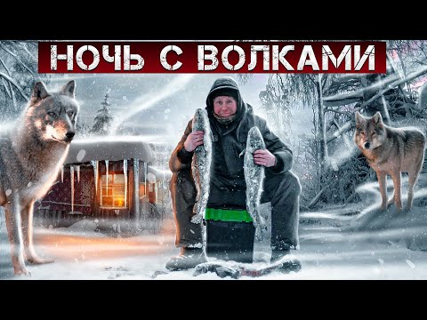 Видео: РЫБАЛКА НА НАЛИМА И НОЧЬ В ИЗБЕ С ВОЛКАМИ . #изба #тайга