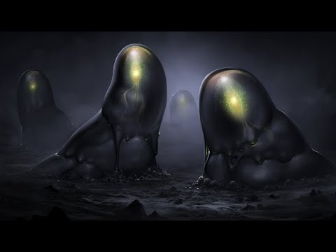 Видео: Что вам не расскажут о кровяной колбасе — D&D