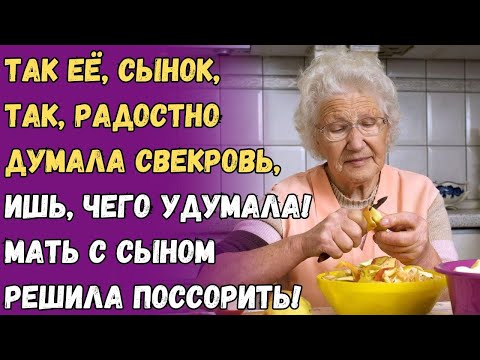 Видео: Так её, сынок, так, радостно думала свекровь, ишь, чего удумала! Мать с сыном решила поссорить!