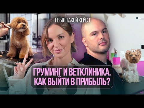 Видео: Как построить бизнес на услугах для питомцев? Кейс груминга Pet Corner и клиники "ДокторВет"
