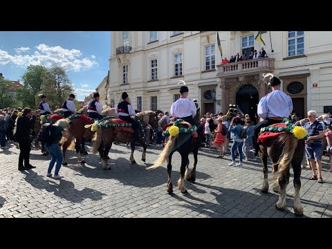 Видео: Праздник Navalis в Праге