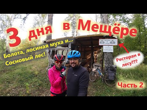Видео: Внезапная встреча с охотниками в ночи! [Велопоход в Мещёру]. Часть 2. Поход в лес с палаткой.