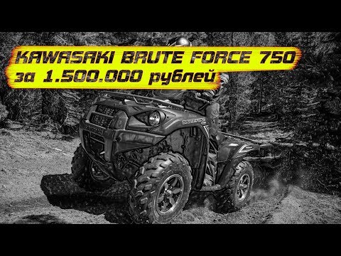 Видео: Kawasaki Bruteforce 750 тюнинг ценой в квадроцикл