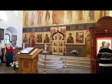 Видео: Неделя 22-я по Пятидесятнице. Мч. Нестора Солунского. Прямая трансляция.