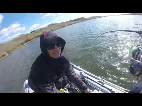 Видео: Селета Монстр на крючке