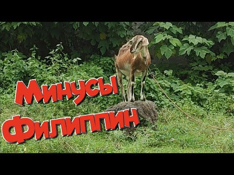 Видео: Филиппины Минусы
