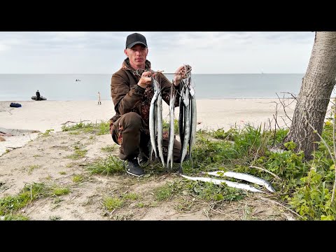 Видео: ЗМЕИ КЛЮЮТ НА УДОЧКУ РЫБАКАМ!! В ШОКЕ ОТ ТАКОЙ РЫБАЛКИ! ПЕРВЫЙ РАЗ ЛОВЛЮ ЭТО! Ч.1