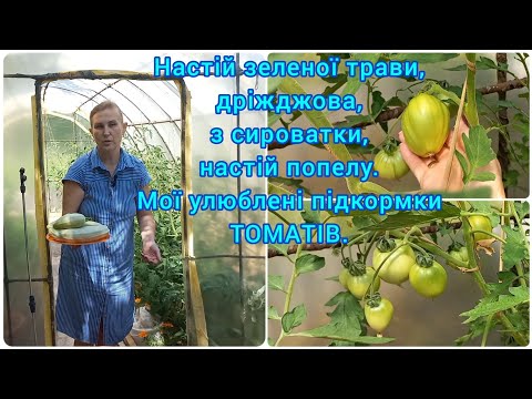Видео: Найкращі підживлення ПОМІДОРІВ🍅Підв'язка,підкормка,пасинкування#доглядзапомідорами#підживленняовочів