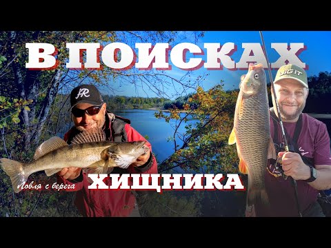 Видео: В ПОИСКАХ ХИЩНИКА. Спиннинг с берега. ПУХова рыбалка 6