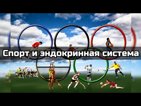 Видео: "Диалоги о спорте" Спорт, физкультура и эндокринная система.
