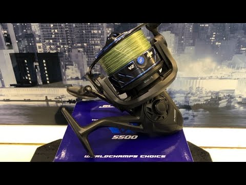 Видео: 11 ноября 2025 г.