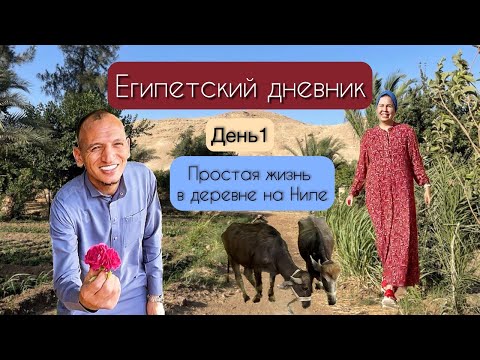 Видео: Как живут на Ниле: правда жизни 😳Приключения в египетской деревне 🌴🌞