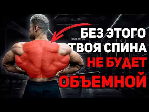 Видео: КАК ПРОКАЧАТЬ ТОЛЩИНУ И ГЛУБИНУ СПИНЫ? Уэсли Виссерс на Русском