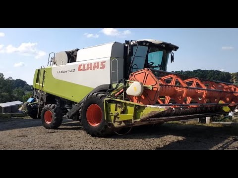 Видео: комбайн клас лексіон 560 підготовка до жнив