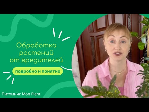 Видео: Обработка растений от паутинного клеща - препараты, дозировка, инструменты