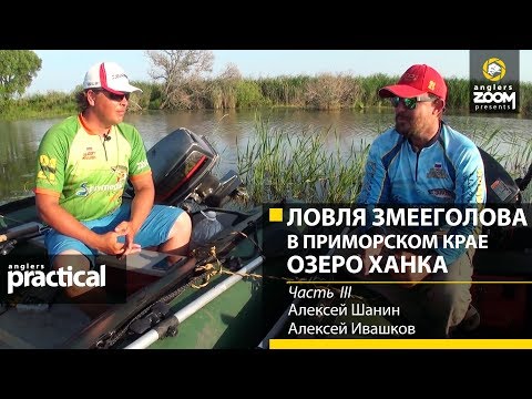 Видео: Ловля змееголова в Приморском крае. Озеро Ханка. А. Шанин, А. Ивашков, Часть 3. Anglers Practical