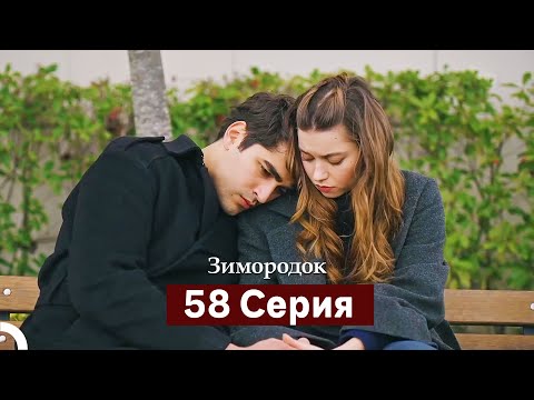 Видео: Зимородок 58 Cерия (Русский дубляж)