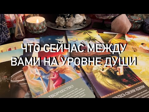 Видео: СЕЙЧАС МЕЖДУ ВАМИ✨НА УРОВНЕ ДУШИ✨ВАЖНО ЗНАТЬ