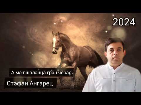 Видео: Стэфан Ангарец - А мэ пшалэнца грэн чёрас 2024 New