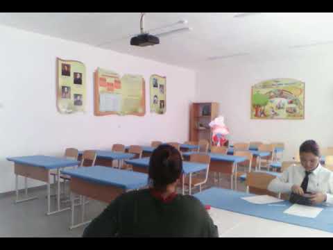 Видео: 12 11 2025 2 кабинет