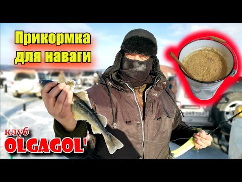 Видео: Рабочая прикормка для наваги.