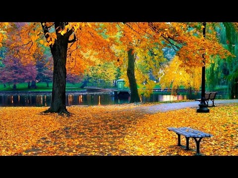 Видео: АСМР Шепот. Осенний ТЭГ. ASMR Whispering. Fall TAG