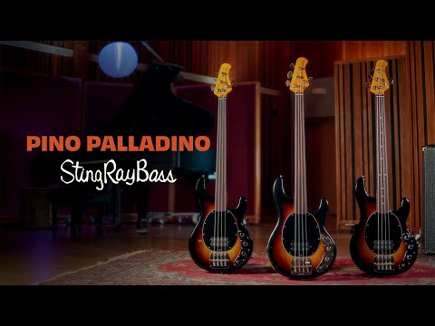 Видео: Коллекция бас-гитар Pino Palladino StingRay
