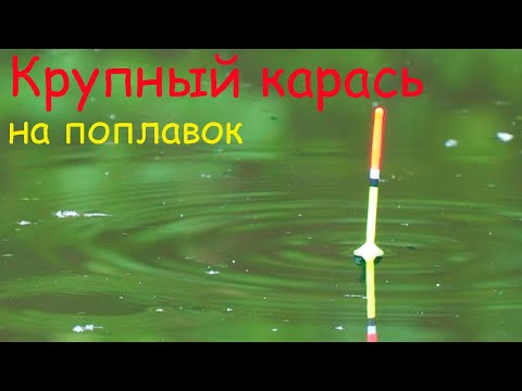 Видео: Крупный КАРАСЬ на ПОПЛАВОК, рыбалка весной на удочку  Ловля на малой реке