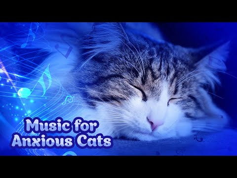 Видео: Успокаивающая музыка для кошек 10 часов ♬ Кошачья музыка со звуками кошачьего мурлыканья ♬