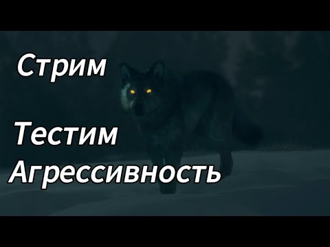 Видео: Охота на "новых" волков в theHunter: Call of the Wild